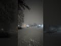 it’s snowing 5 #funny #relatable #fypシ #fypシ゚viral #shortvideos #shorts
