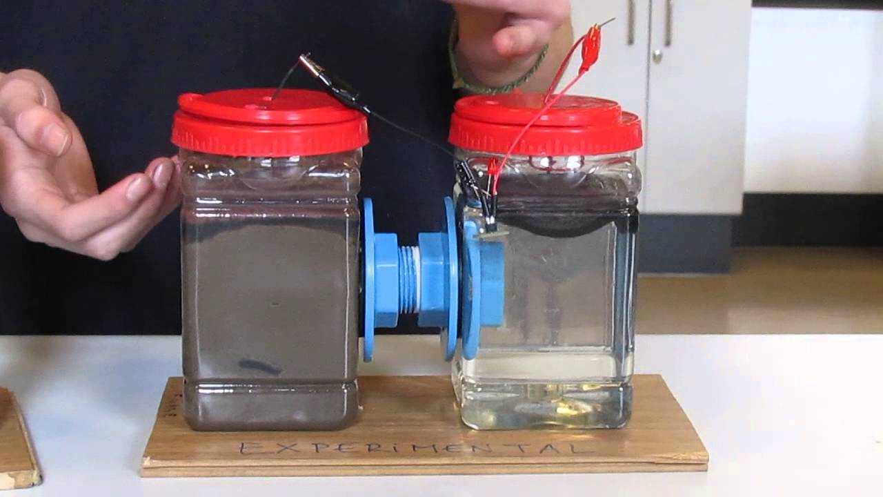 Bateria Microbiana breve explicación - YouTube