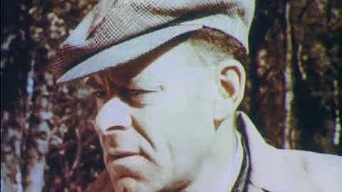 Roy - Sheep Dog Of The Scottish Highlands (1958)