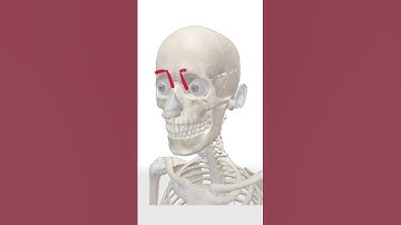 Mistake When Drawing Head - Quick Art Tips #art #sketch #shorts #tutorial #drawingtutorial #anime