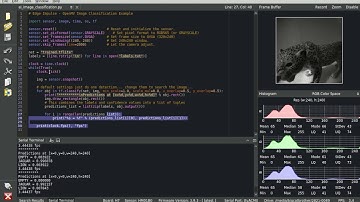 Arduino Portenta H7 + Vision Shield classifying Jaguars, Lions and empty Spaces.