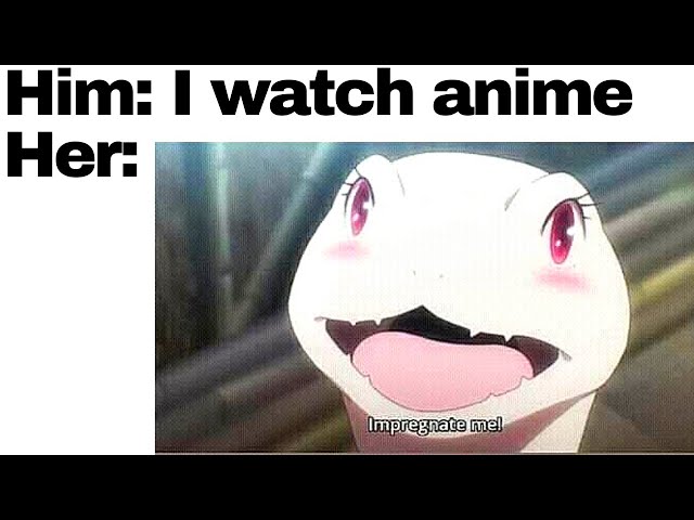 foto meme anime