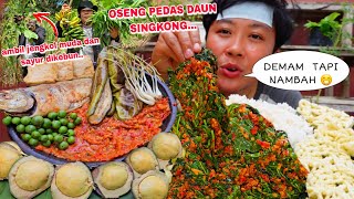 DEMAM ‼️ AMBIL JENGKOL MUDA & DAUN SINGKONG DIKEBUN ,OSENG PEDAS DAUN SINGKONG HABIS TAK TERSISA