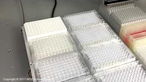 ProPipette Plate to Multiple Plates Transfer