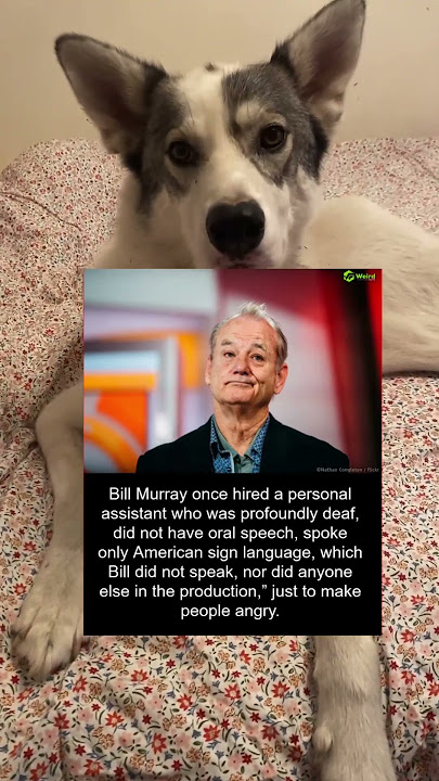Bill Murray once hired personal assistant that was profoundly deaf