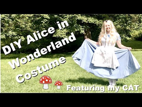 How to Make: A Last-Minute Alice in Wonderland Costume