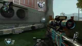 Insane Clip on BO2!! (Quad Headshot Feed)