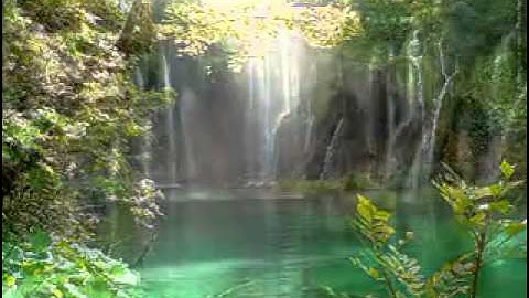 ‫القاري أحمد سعود سورة الرحمن