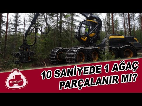 Girdiği Yerde Ağaç Bırakmıyor | Dünyanın En İyi Ağaç Kesme Makinaları