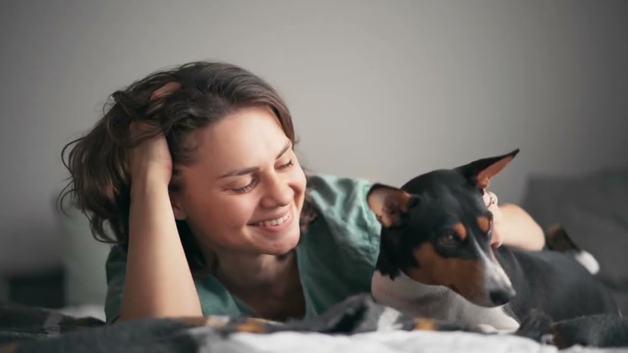 40 WEIRDEST Dog Behaviors Explained! | K9Pedia