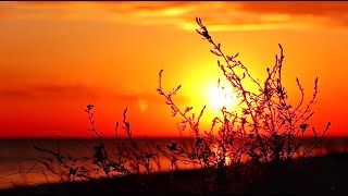 Mi̇ni̇ Karavanla 2 Farkli Kamp