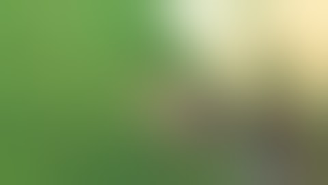 Best Fails of the Week 3 March 2016    