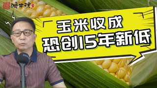 欧盟遭遇严重旱灾，全球粮食危机雪上加霜！