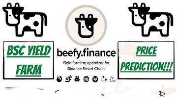 Beefy Finance (BIFI): BSC YIELD FARM Overview & PRICE PREDICTION!!!