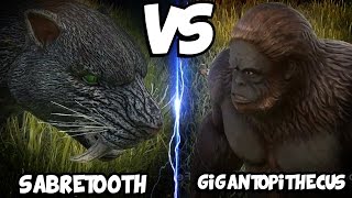 ARK Dinosaur Battle Arena | SABERTOOTH VS GIGANTOPITHECUS