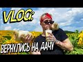 VLOG: ВЕРНУЛИСЬ НА ДАЧУ! ПЕРВЫЙ УРОЖАЙ!