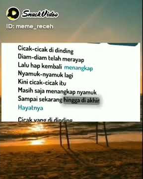 Lagu Cicak Cicak Di Dinding Yang Lagi Viral \ Story WhatsApp Lucu