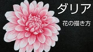 トールペイント 花の描き方(アクリル絵の具で描くダリア)