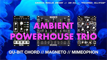 QU-BIT CHORD / STRYMON MAGNETO / MAKE NOISE MIMEOPHON: AN AMBIENT POWERHOUSE TRIO