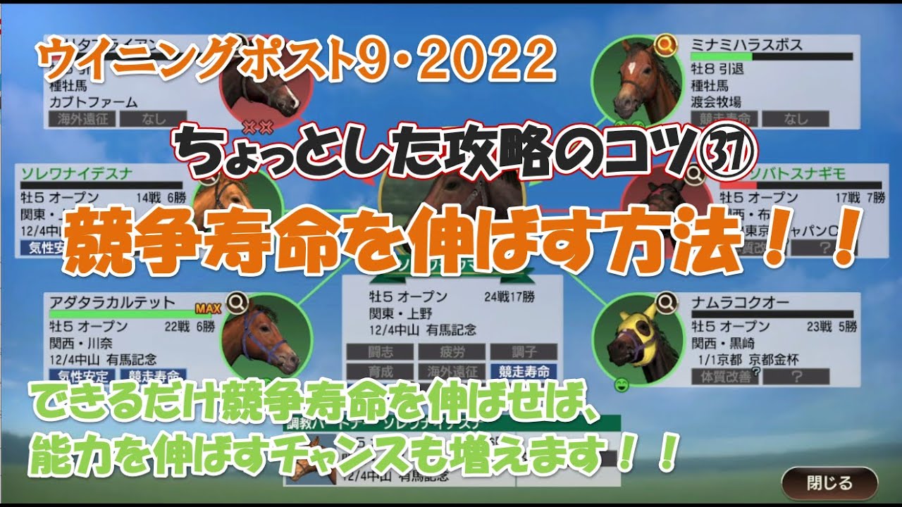 ウイニングポスト９ ２０２２ ちょっとした攻略のコツ 競争馬の寿命の伸ばし方 ここを意識してみてください Youtube