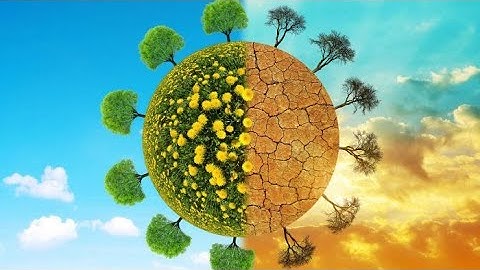 SUY NIỆM - CON NGƯỜI BỞI ĐẤT VÀ BỞI TRỜI − Lm. Giuse Nguyễn Trọng Sơn