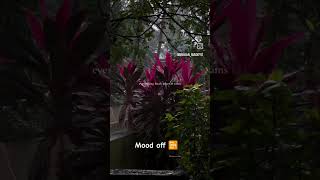 feeling 🎧❤️🩹#viral #lofimix #music #shkrts #songs #singing #feelings #love