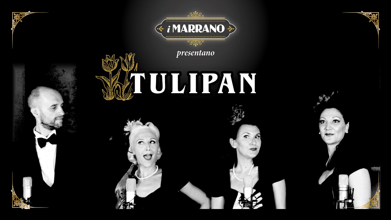 TULIPAN - I MARRANO