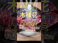 【地元の人気焼肉店♪】「焼肉ムグンファ」東京都江戸川区瑞江♪カブゴンのグルメ動画 #グルメ #焼肉 #キムチ #ムグンファ #ユッケ #瑞江 #shorts