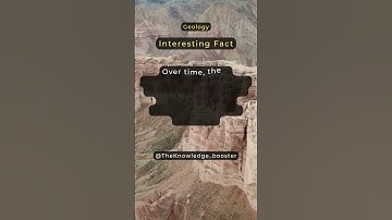Interesting Fact about Sedimentary Rocks Formation 🪨...