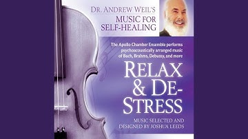 Thumbnail of Chopin - Cello and Piano Sonata in G minor, Op. 65 Largo