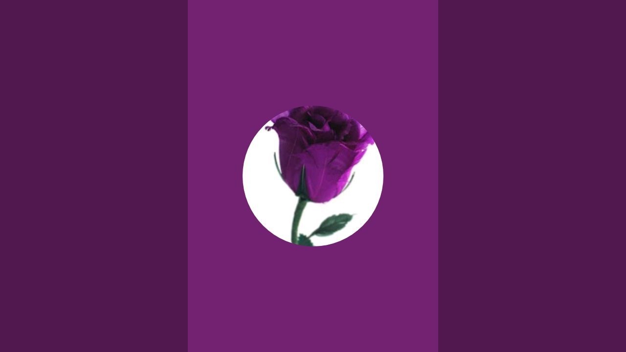 منورين جميعا ️ - YouTube