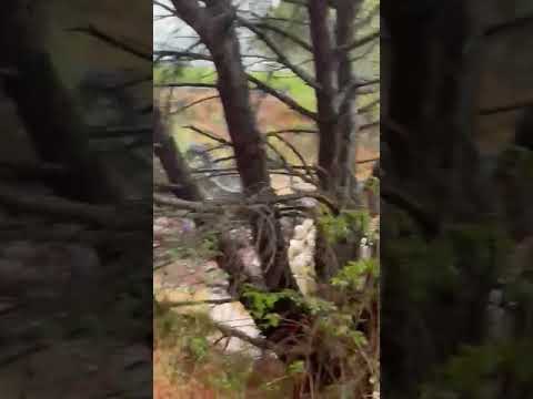 Comienzan a aflorar los graves daños en la agricultura causados por la gran riada de la Costa