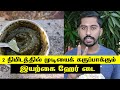 ஒரே நாளில் நரைத்த முடியை கருமையாக ஹெர்பல் ஹேர் டை  | Natural hair dye in tamil | NEXT DAY 360