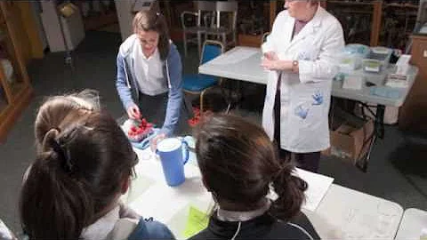 Roy L. Shafer Leading Edge Award Nominees--Visitor Experience (Large Center)