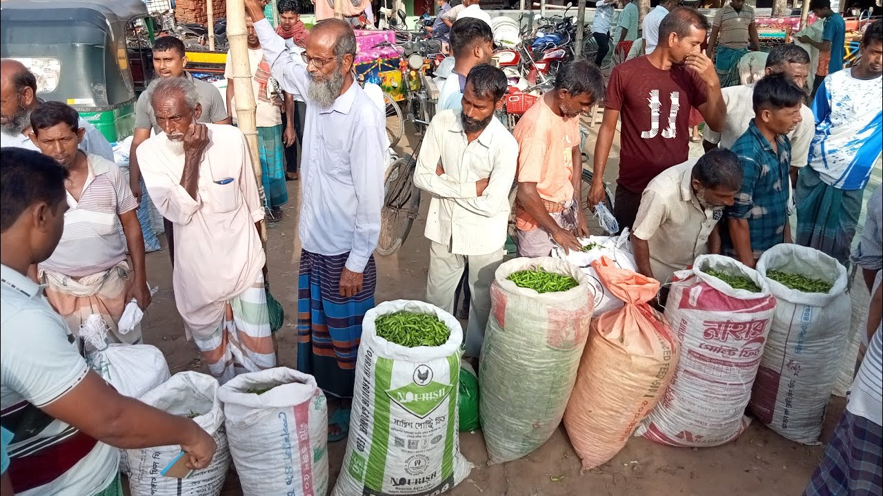 ব্রেকিং নিউজ বাড়তে পারে মরিচের বাজার তিলকপুর বাজার ২৮/০৮/২৫ #বাজারে #মরিচ #foodvlog #মরিচচাষ #food 