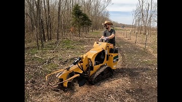 Stump Grinding - Getting the fence line ready for mowing.