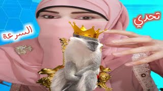 تحدي فاطمة والنسناس جزء ال 3 سلسلة التحديات المثيرة! خرب حياتي - شوف حصل اية Baby Monkey