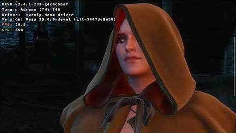 Winlator (glibc): Witcher 3/ New Strongmem/ SD8GEN2/ Ayn Odin 2 Max