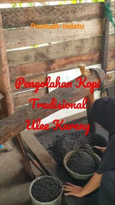 Peutuah-Indatu, Pengolahan Kopi Tradisional Ulee Kareng, Dsn Lampee, Desa Menasah papeun, Aceh Besar