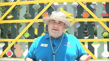 O Wow Moment: Soda Geyser World Record?