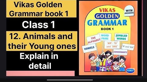 12. Animals and their Young ones | Vikas Golden Grammar book 1| class 1| English medium|new syllabus