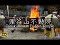 狸谷山不動院 秋祭り 2018：Tanukidanisan Fudoin Temple-Autumn Festival