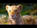 Beyoncé SINGS "Can You Feel The Love Tonight" in LION KING TV Spot