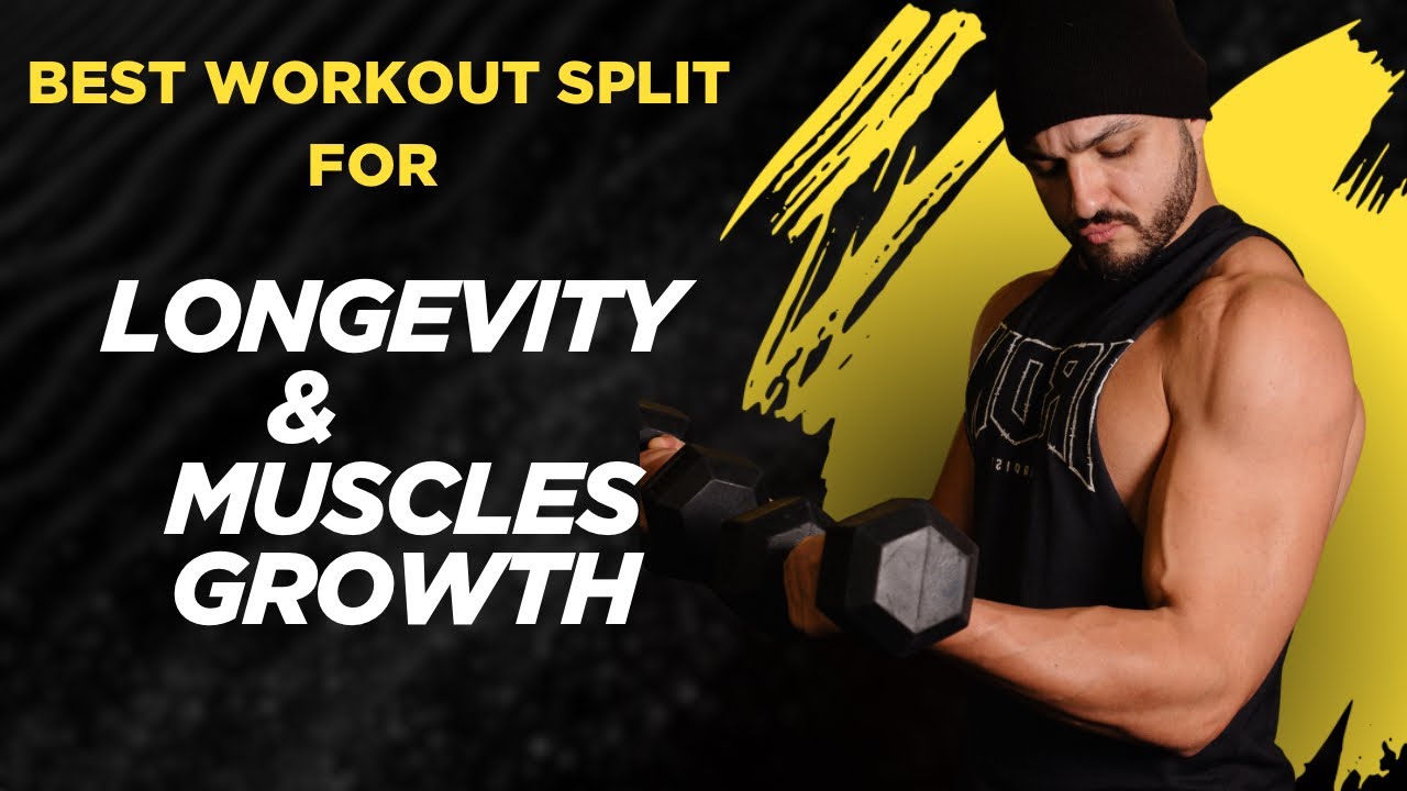 The Best Workout Split for Longevity and Muscle Growth - YouTube