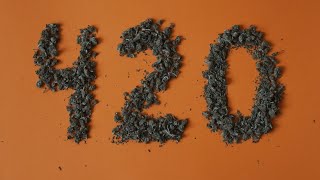 How did 420 become shorthand for marijuana?