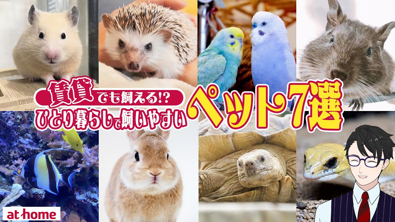 ペット 飼い やすい