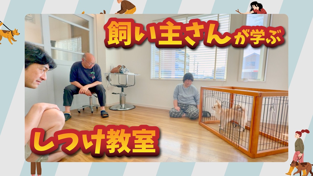 飼い主さんが学ぶしつけ教室】5才から始めたドッグトレーニング