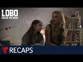 Lobo, Morir Matando, weekly recap episodes 33 to 37 | Telemundo English
