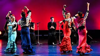 Naranjita Flamenco | Fandango | 2023