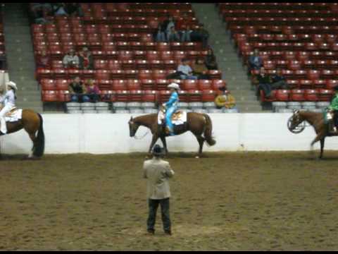 Pinely Impulsed (aka Abby) in NYATT Western Pleasure at the 2009 AQHA CONGRESS